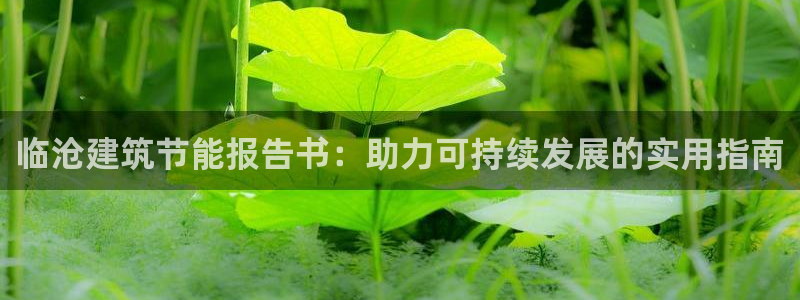 e尊国际客户端：临沧建筑节能报告书：助力可持续发展的实用指南